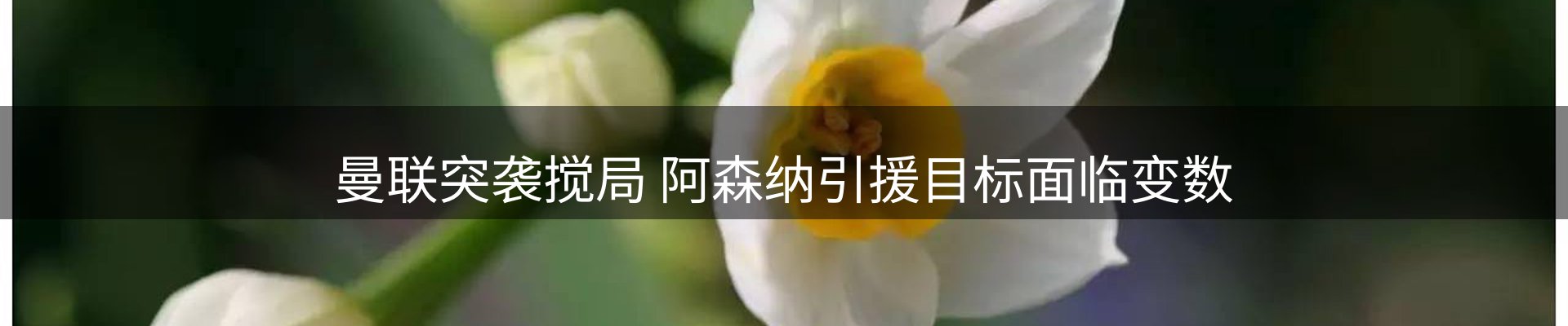 赛事资讯