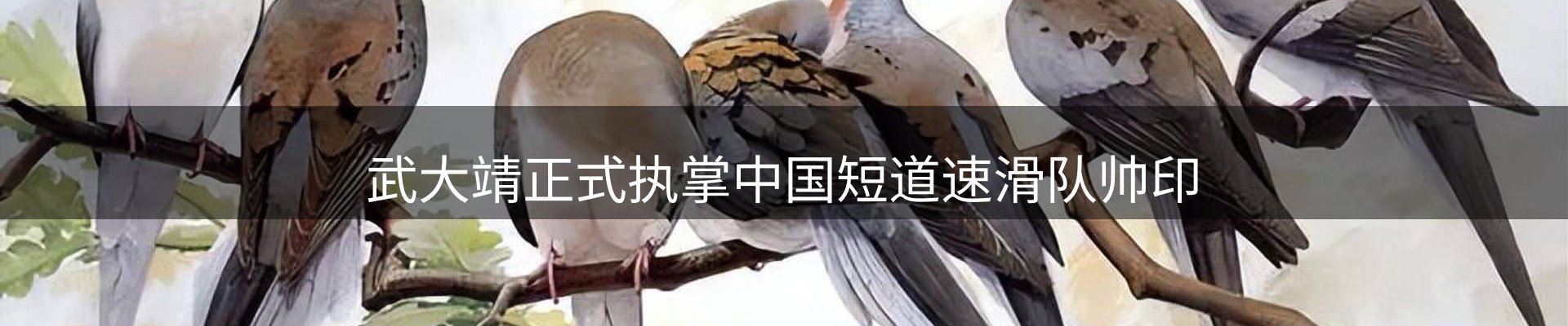 赛事资讯