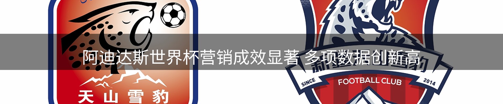 赛事资讯