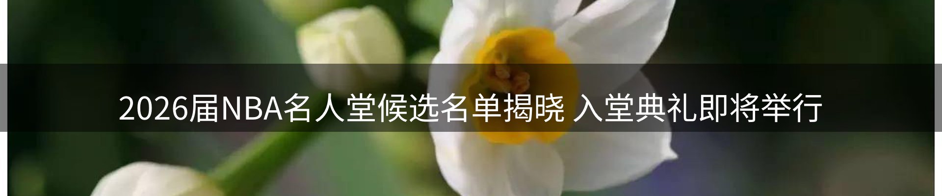 赛事资讯
